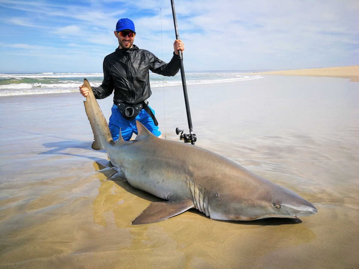 Client with a shark caught from the beach