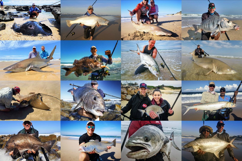 fishing collage